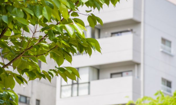 マンションお掃除代行